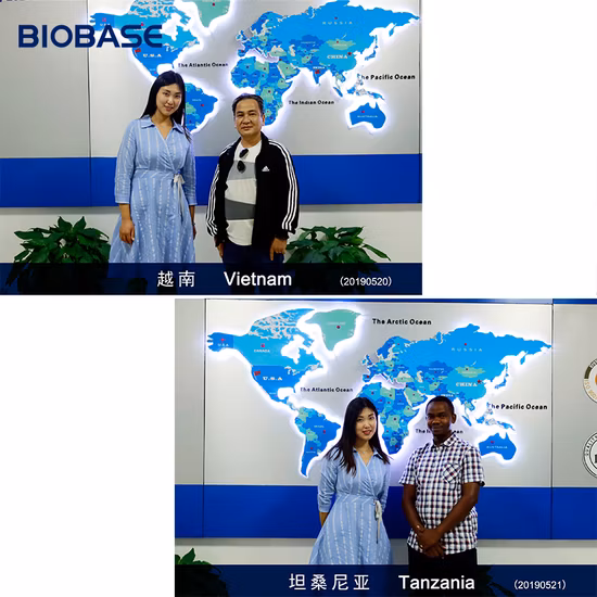 Incubadora programable de temperatura constante de sobremesa Biobase para laboratorio